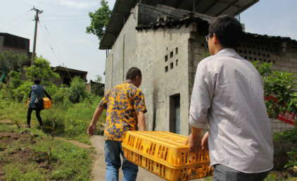 ÓŵÂ88(ÖйúÇø)¹Ù·½ÍøÕ¾